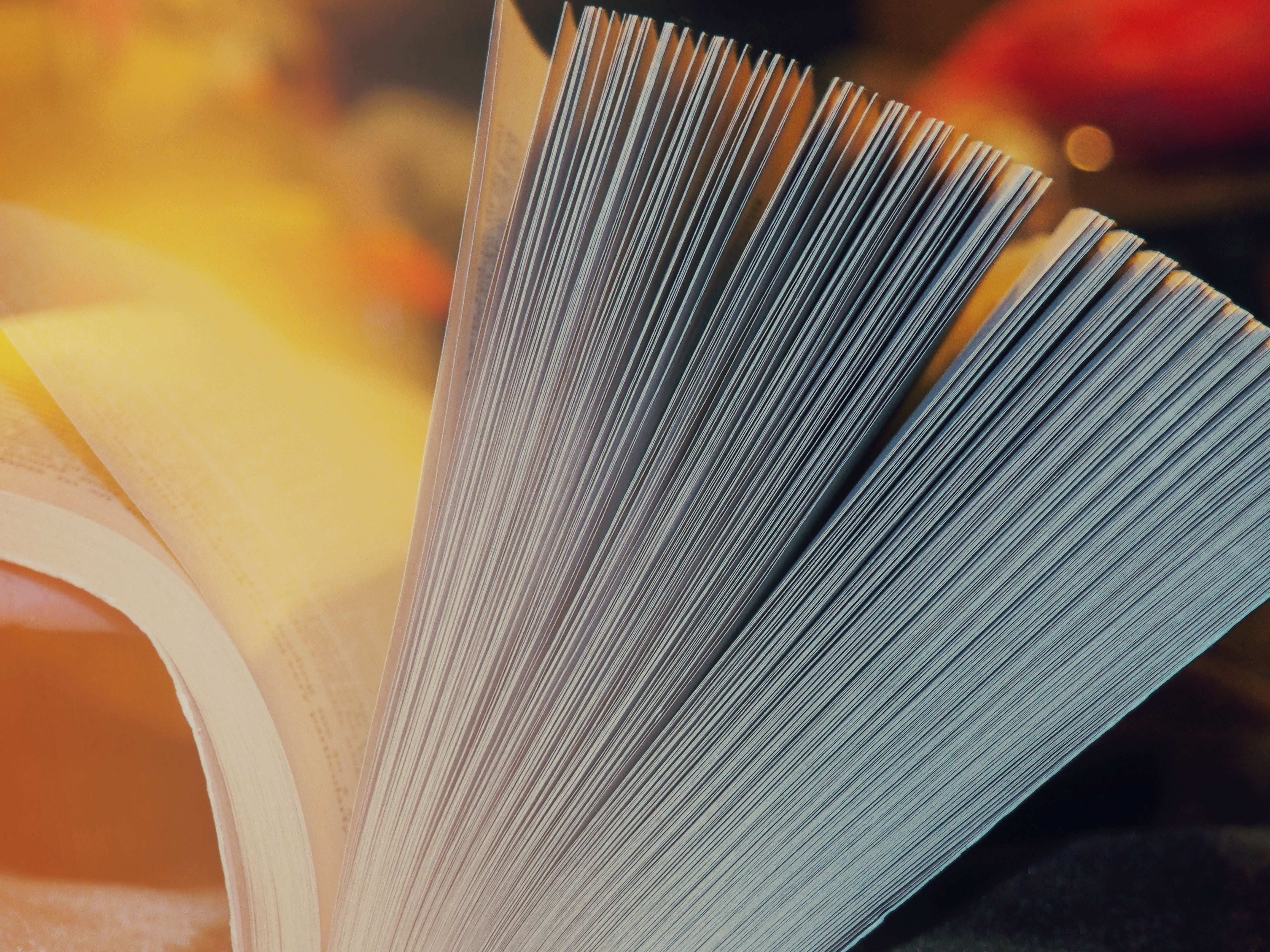 Ideas y Negocios club de creativos